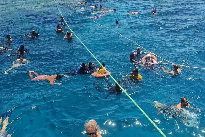 许多游泳者和浮潜者使用口罩、蛙鞋和五颜六色的漂浮设备聚集在船旁的亮蓝色海水中。几个人抓住了横跨水面的长长的浮动安全线。