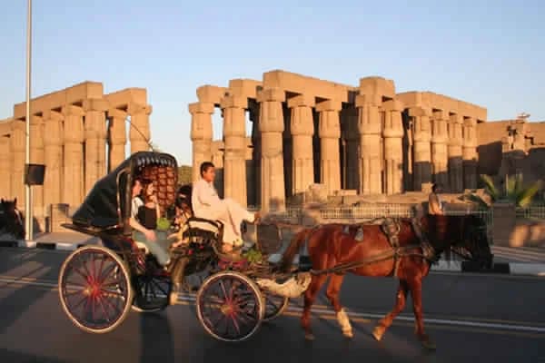 Caleche lors d'une balade dans les rues de Louxor