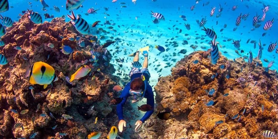 Depuis Charm el-Cheikh : journée complète à Dahab avec plongée en apnée photo 8