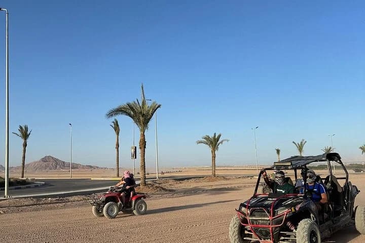 Des visiteurs en quad et en véhicule côte-à-côte le long d'une piste sablonneuse près de palmiers dans le désert de Charm el-Cheikh