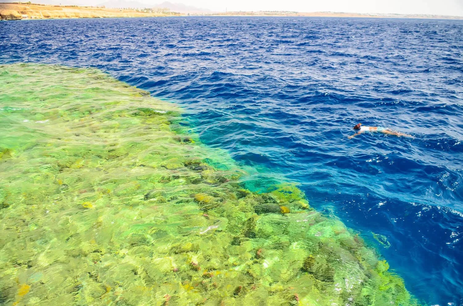 洪加达奥兰治湾乘船游览 photo 4