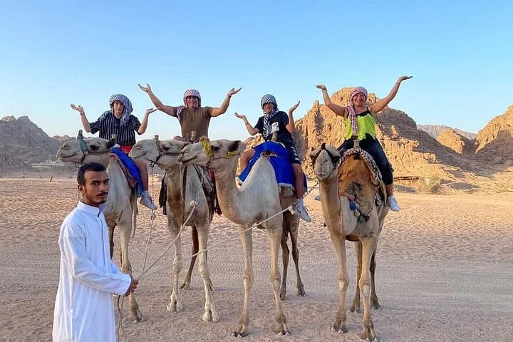 Touristes posant sur des chameaux avec un guide bédouin dans les montagnes rocheuses du désert de Charm el-Cheikh