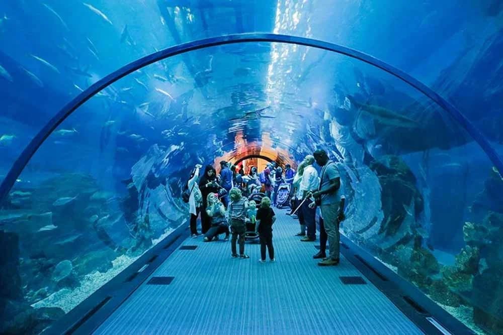 Le Grand Aquarium d'Hurghada