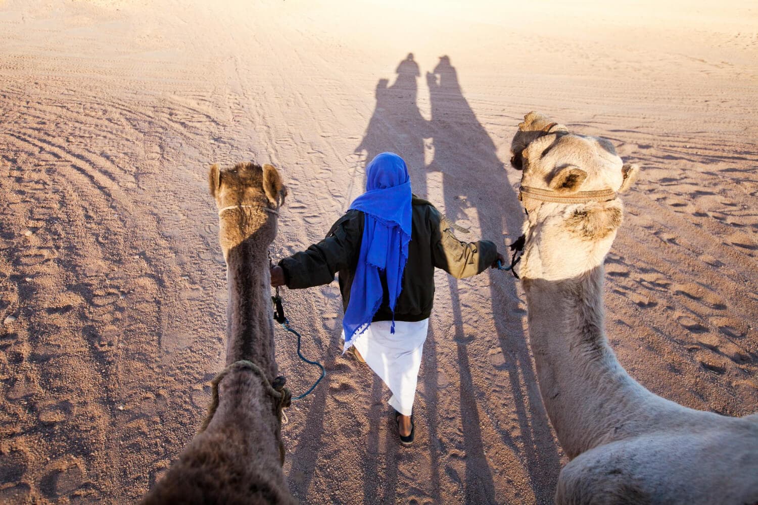 Egypt travel landscape